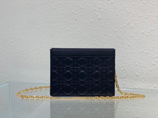 DIOR Caro Zipped Pouch With Chain.