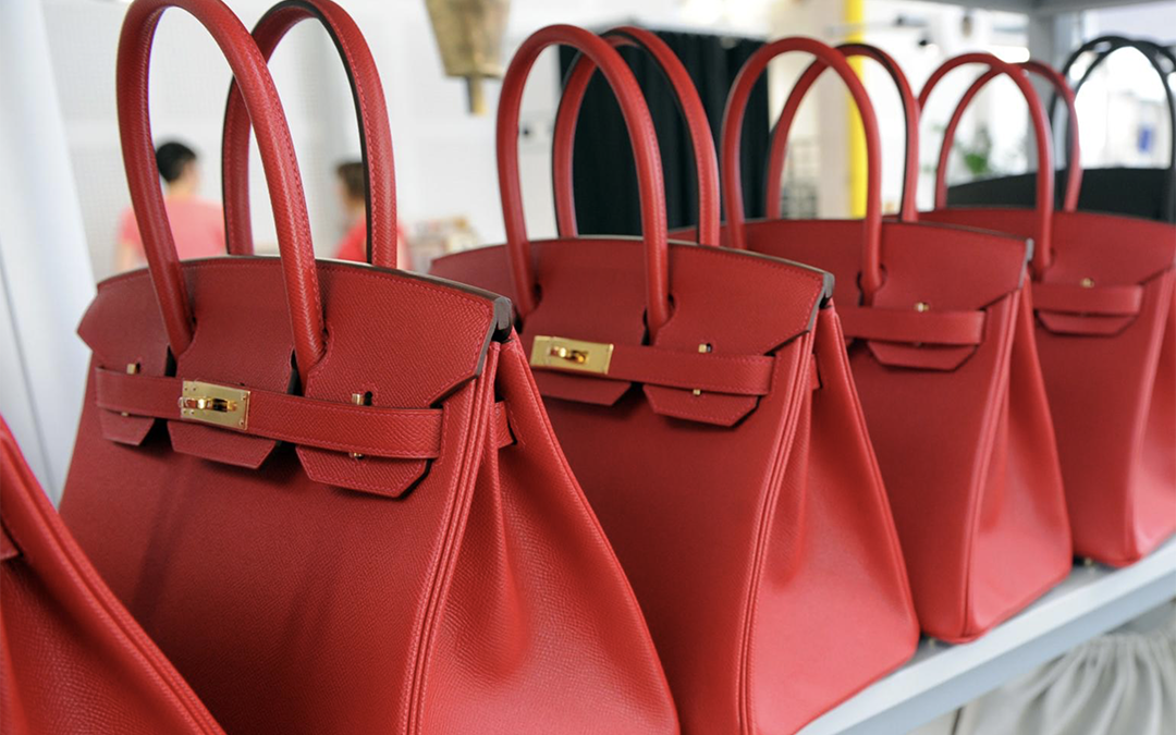 Elegance on Trial: The Birkin Bag Saga and the Irony of Exclusionary Opulence